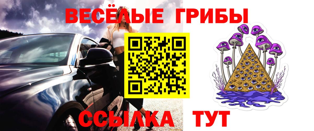 Псилоцибиновые грибы MAGIC MUSHROOMS Вольск