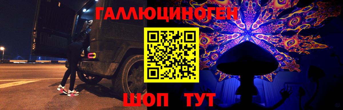 Вольск  Псилоцибиновые грибы MAGIC MUSHROOMS  Псилоцибиновые грибы прущие грибы  Вход с VPN 